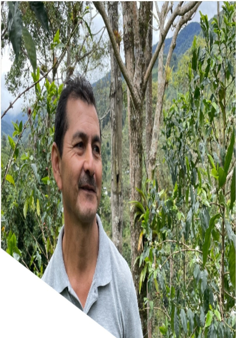 コロンビア ホセ・ヘルナン・サラザール ブルボンアヒ X-grade