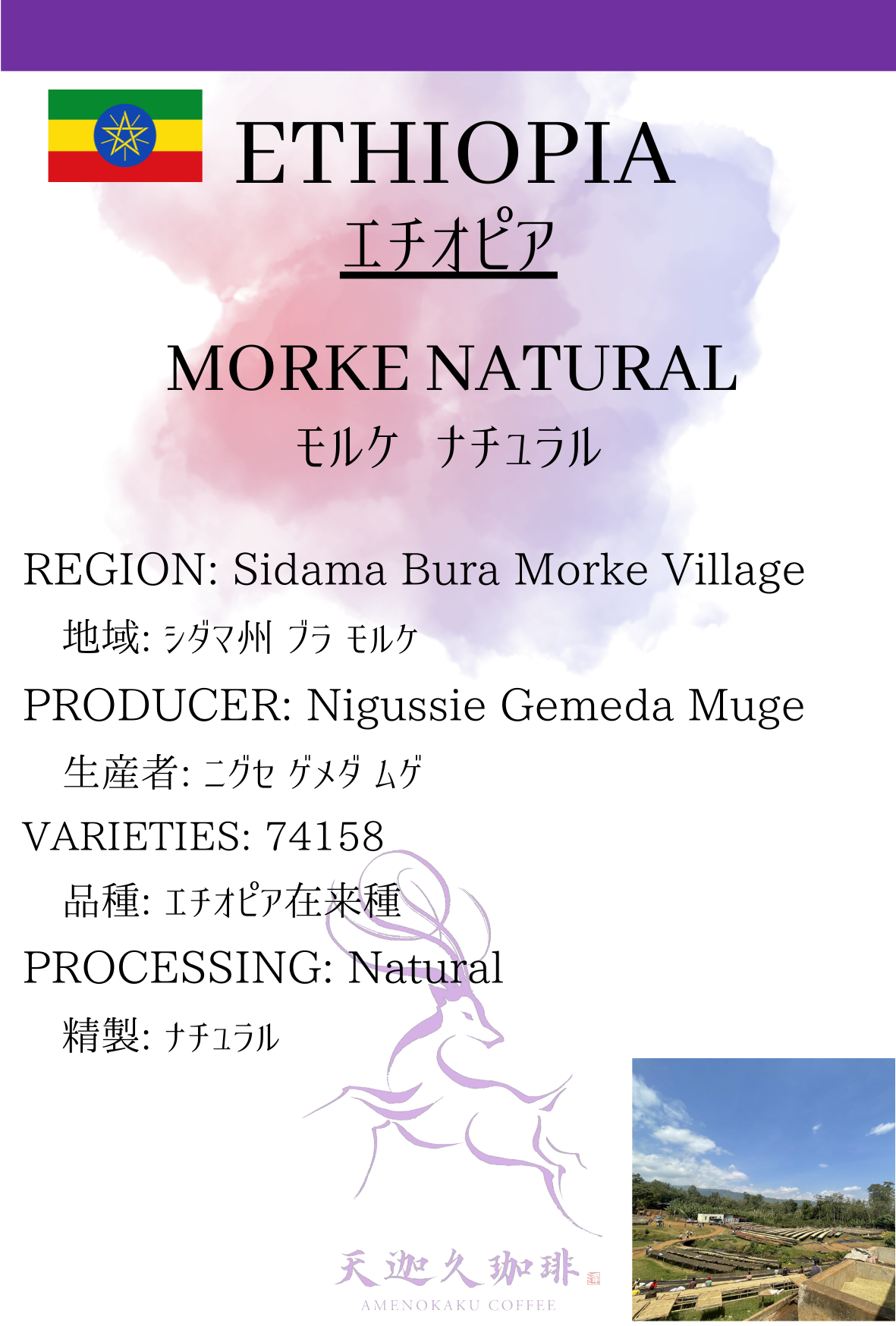 エチオピア ニグセ・ゲメダ モルケ ナチュラル