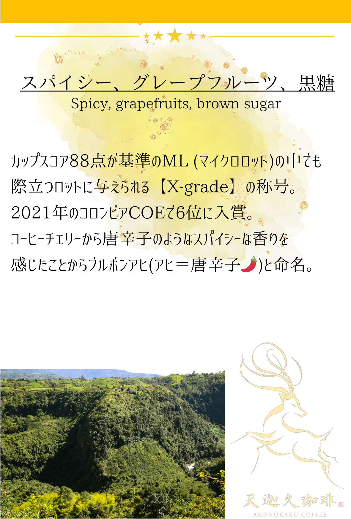 コロンビア ホセ・ヘルナン・サラザール ブルボンアヒ X-grade