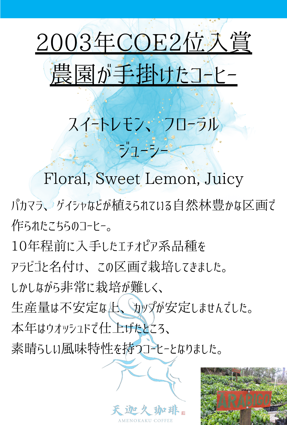 【グアテマラ】 ラ・ボルサ農園 アラビゴ