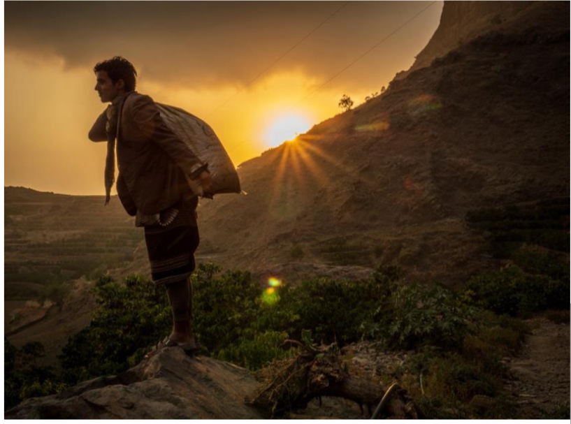 イエメン キマハラーズ イエメニア