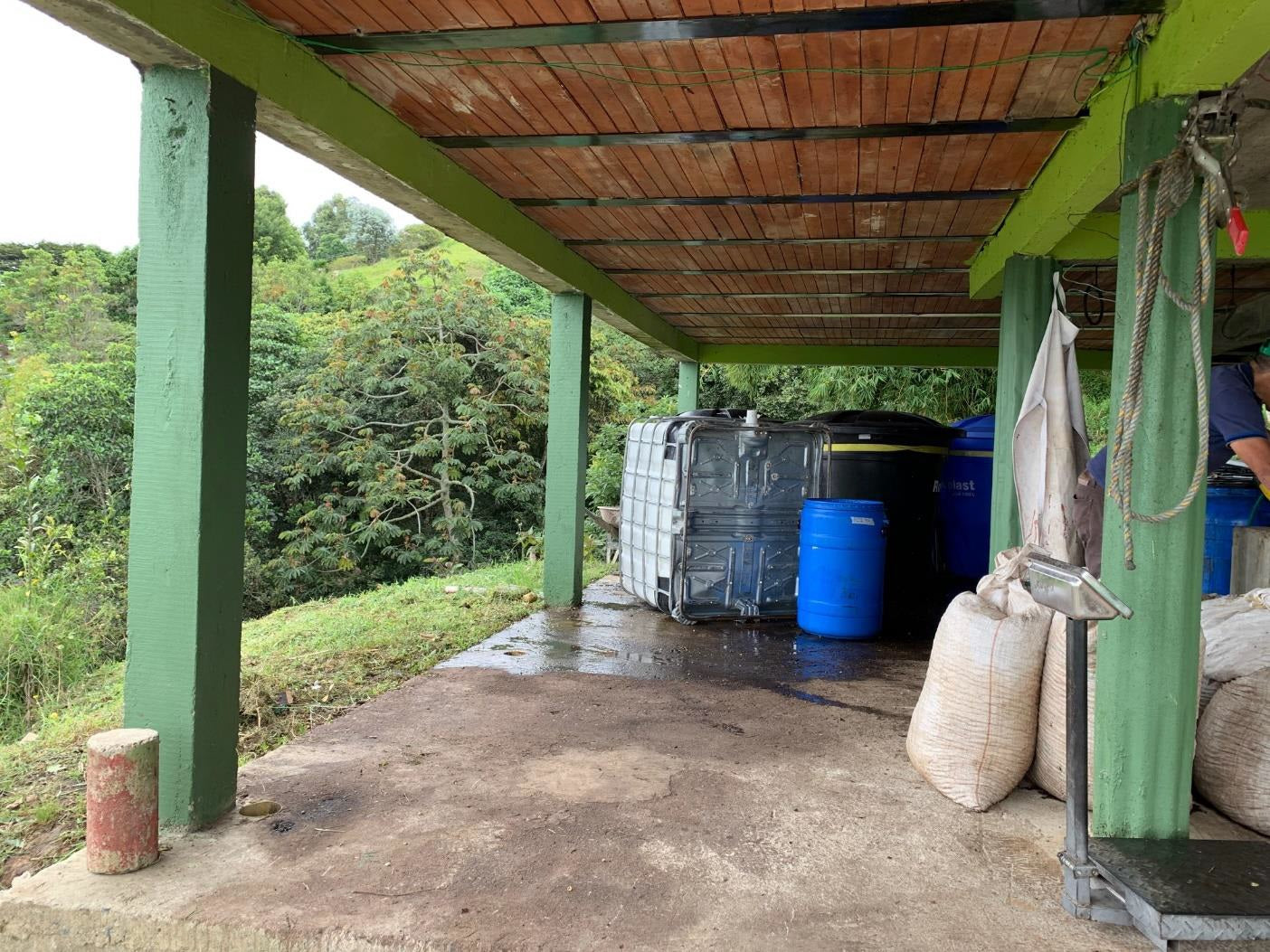 コロンビア エルパライソ アナエロビック ライム