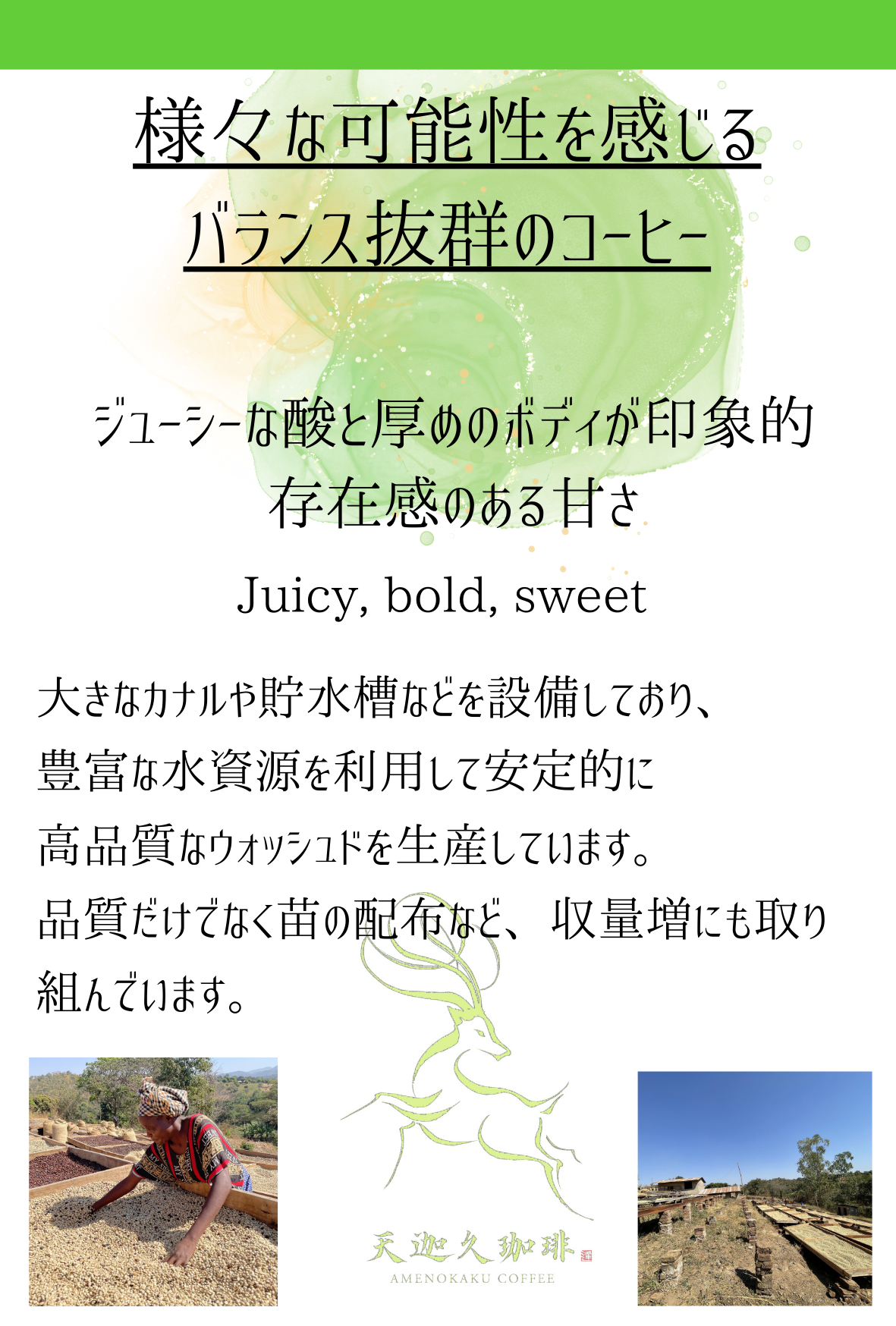 タンザニア ムワリィエゴ