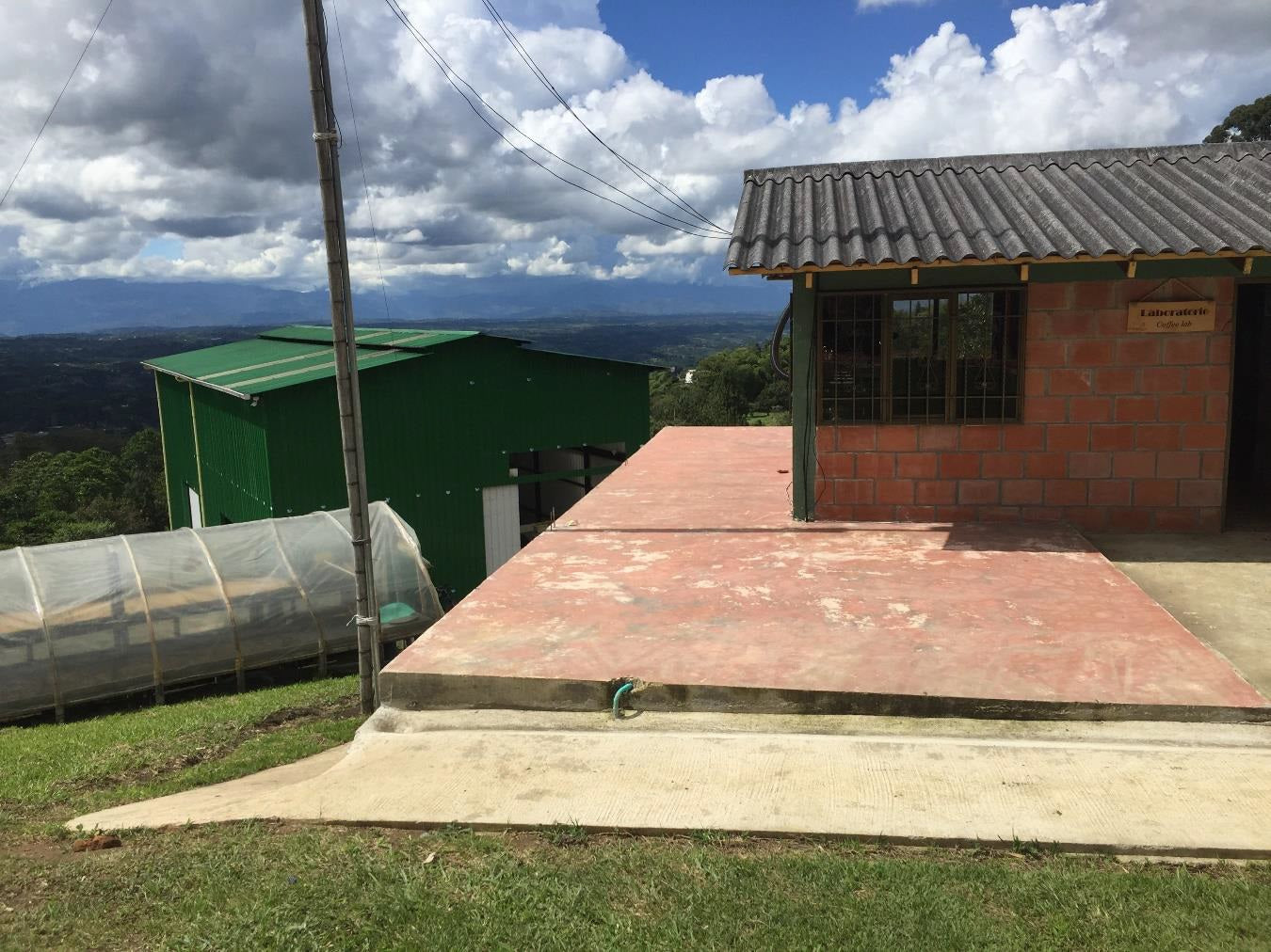 コロンビア エルパライソ アナエロビック ライム