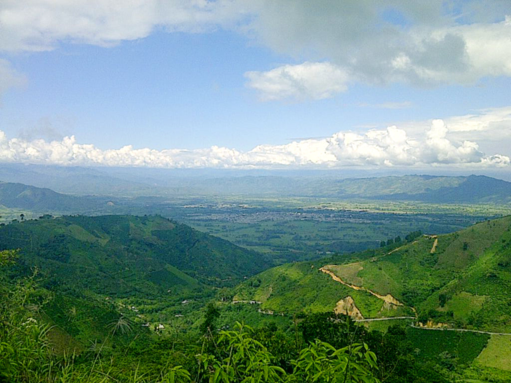 【コロンビア】ウィラ チロソ