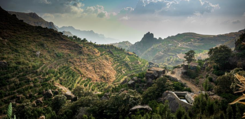 イエメン キマハラーズ イエメニア