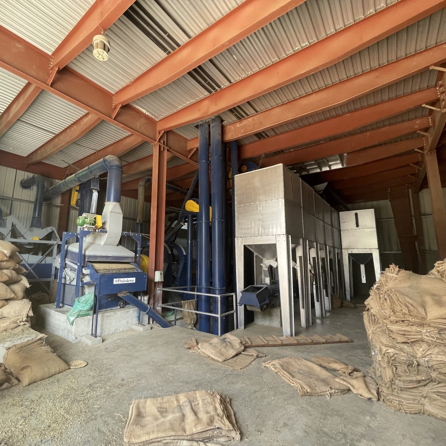 エチオピア ニグセ・ゲメダ モルケ ナチュラル