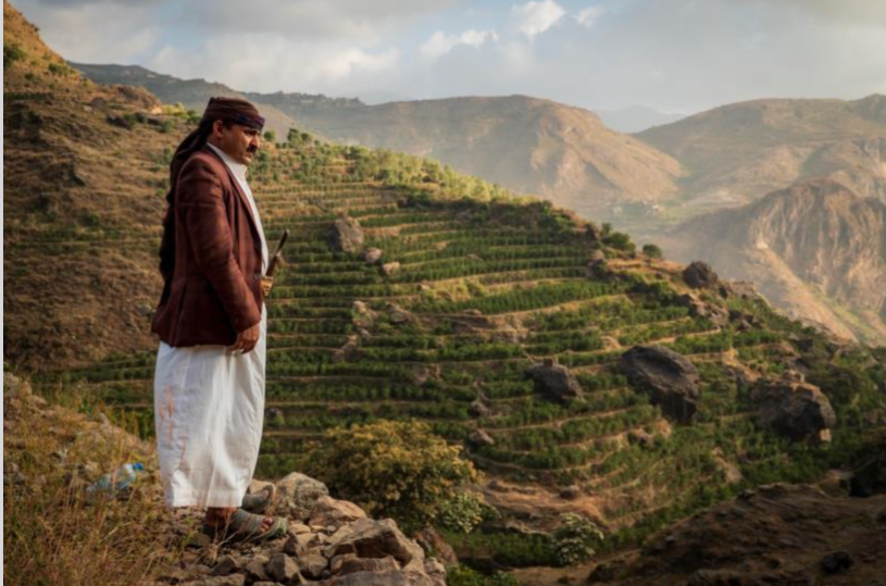 イエメン キマハラーズ イエメニア