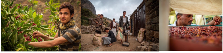 イエメン キマハラーズ イエメニア