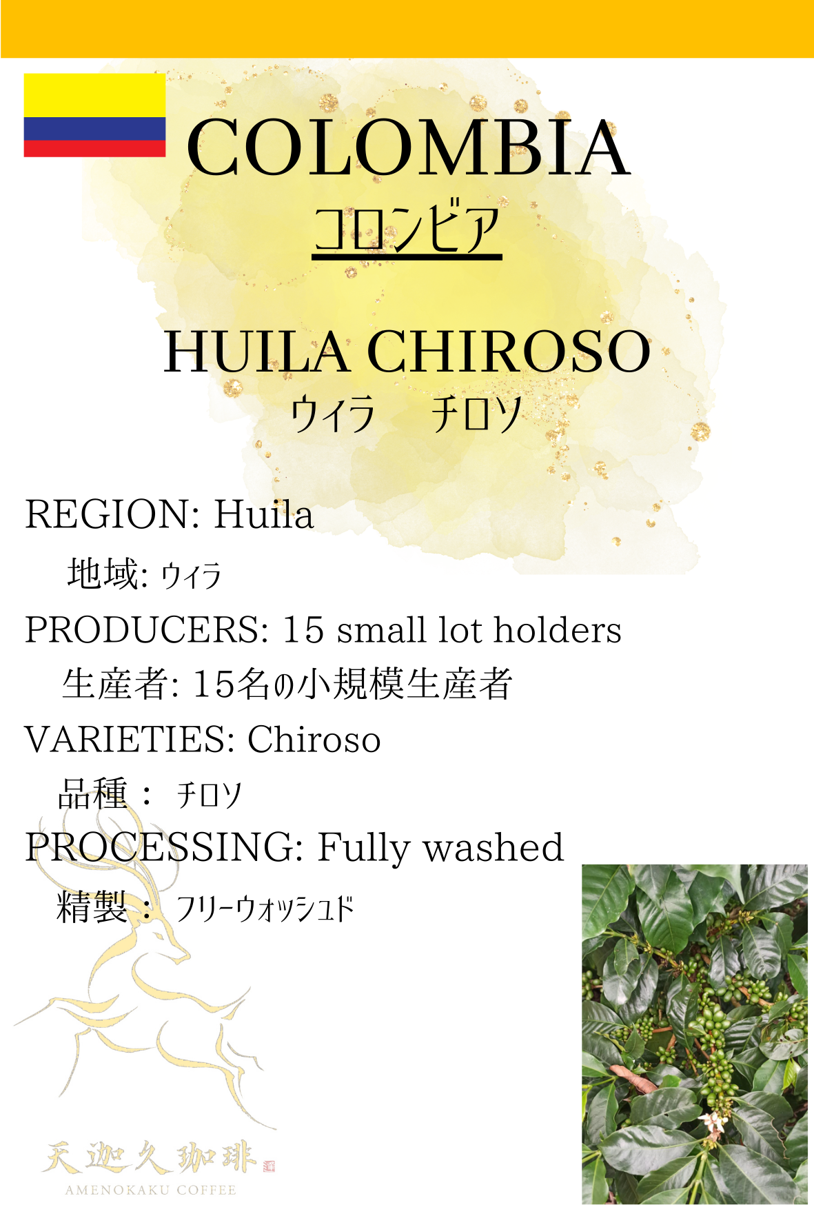 【コロンビア】ウィラ チロソ