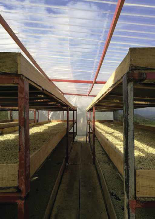 【コロンビア】ウィラ チロソ