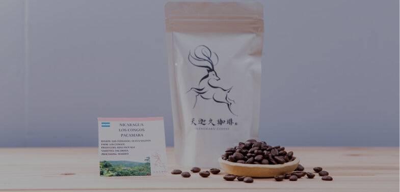 ドリップバック