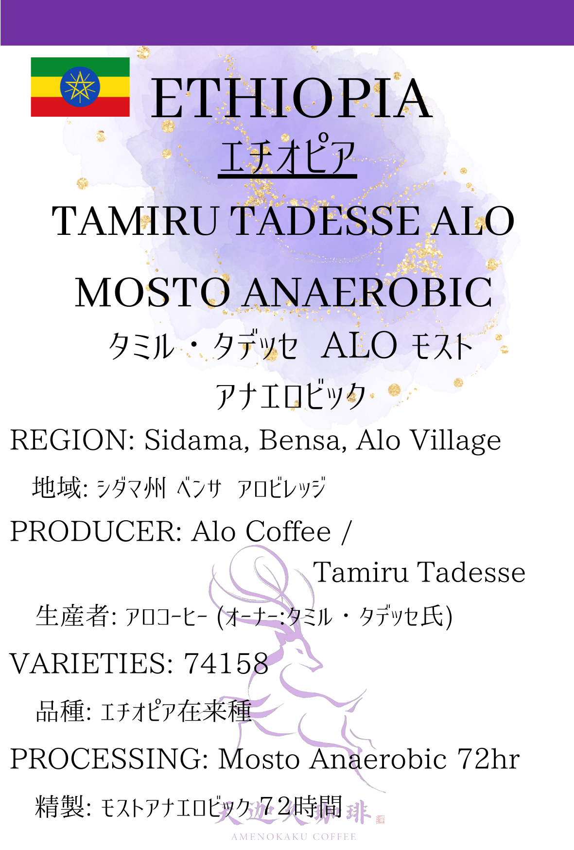 エチオピア　タミル・タデッセ　ALO モスト アナエロビック
