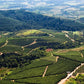 ブラジル　イパネマ農園　リオヴェルデ　グランクリュ　全6種