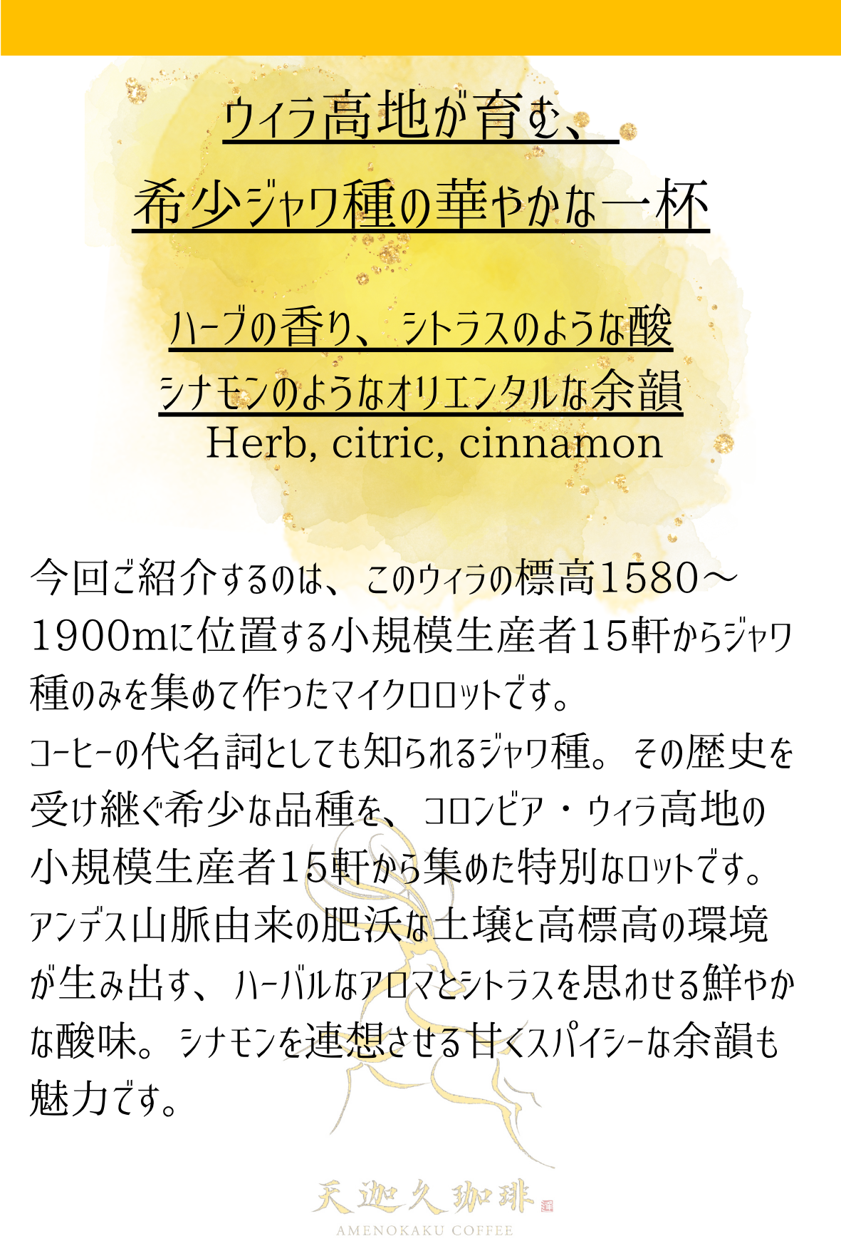 【コロンビア】ウィラ ジャワ