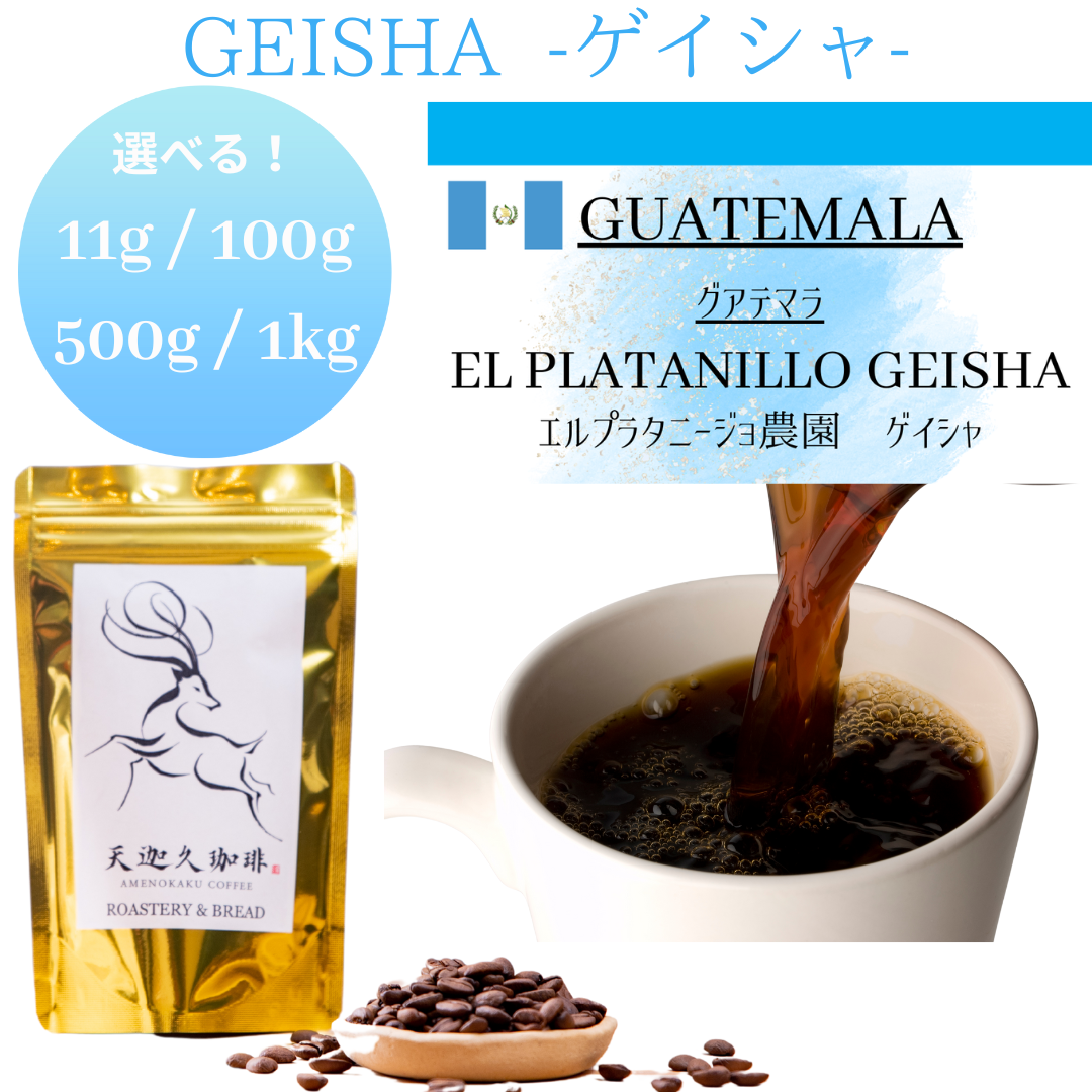 グアテマラ エルプラタニージョ ゲイシャ