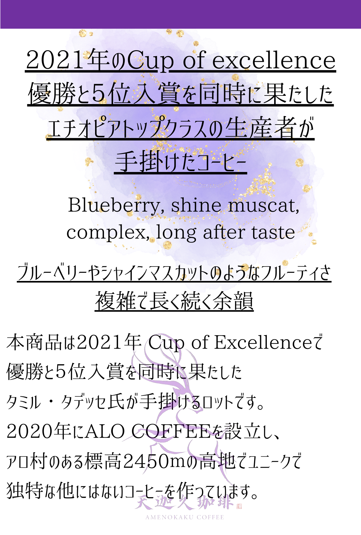 エチオピア　タミル・タデッセ　ALO　ベリー