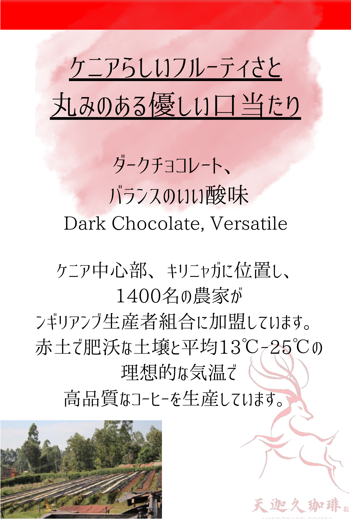 ケニア　キリ